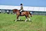 SBM_03748