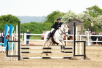 SBM_008493