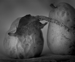 Palladium Prints by Ron Reeder portfolio