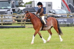 SBM_08769
