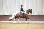 SBM_000721