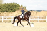 SBM_009478