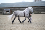 SBM_004089