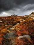 Barden Moor