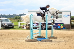 SBM_004384