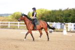 SBM_009262