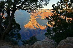 Grand Canyon-South Rim portfolio