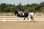 SBM_006502