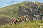 Ennerdale Show-24