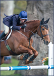Equestrian Sport portfolio