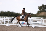 SBM_07938