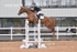 BPP_3283