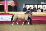 SBM_14681