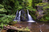 Fairy Glen, Rosemarkie - 0136