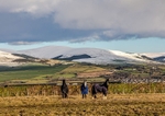 Horses and Snaefell