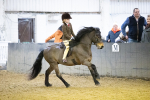 SBM_008954