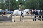 WJ7_0918
