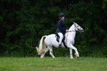 WJ7_2004