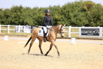 SBM_003582