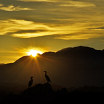 Kaikoura