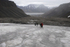 Longyearbyen Glacier surface