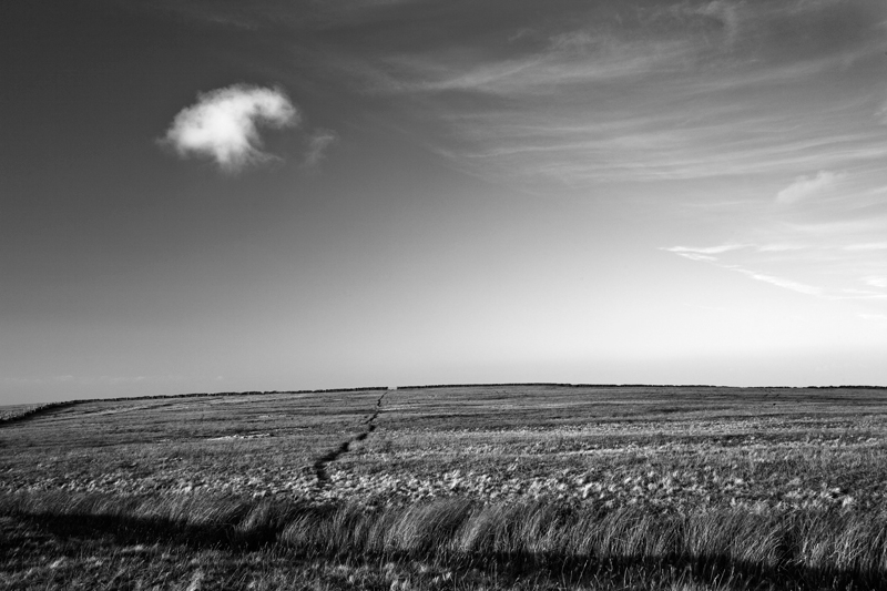 Lonely Cloud