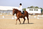 SBM_002753