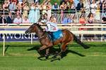 240726-Race 3-Coral Cove-0344