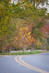 DSC_2676-Edit