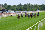 Race 6 16.15pm Al Basti Equiworld Dubai Sprint Handicap portfolio
