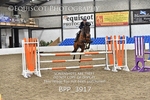 BPP_3917