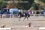 BPP_9584