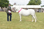 SBM_16143