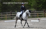 BPP_6444