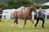 DSC04740