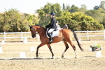 SBM_016923