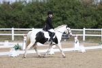 SBM_001988