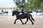 SBM_00282