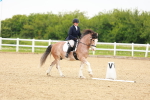 SBM_005979
