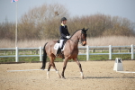 SBM_008345