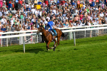 270523-Race 7-Shining Blue-0997