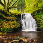 A Forgotten Falls