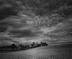 BLACK AND WHITE LANDSCAPES portfolio