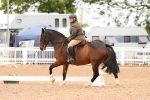 SBM_01557