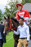Race 5 15.42pm Sky Bet Price Boosts EBF Fillies' Novice Stakes portfolio