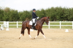 SBM_018441