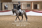 BPP_8739