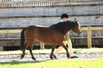 SBM_15932