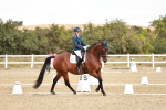 SBM_009512