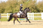 SBM_002660